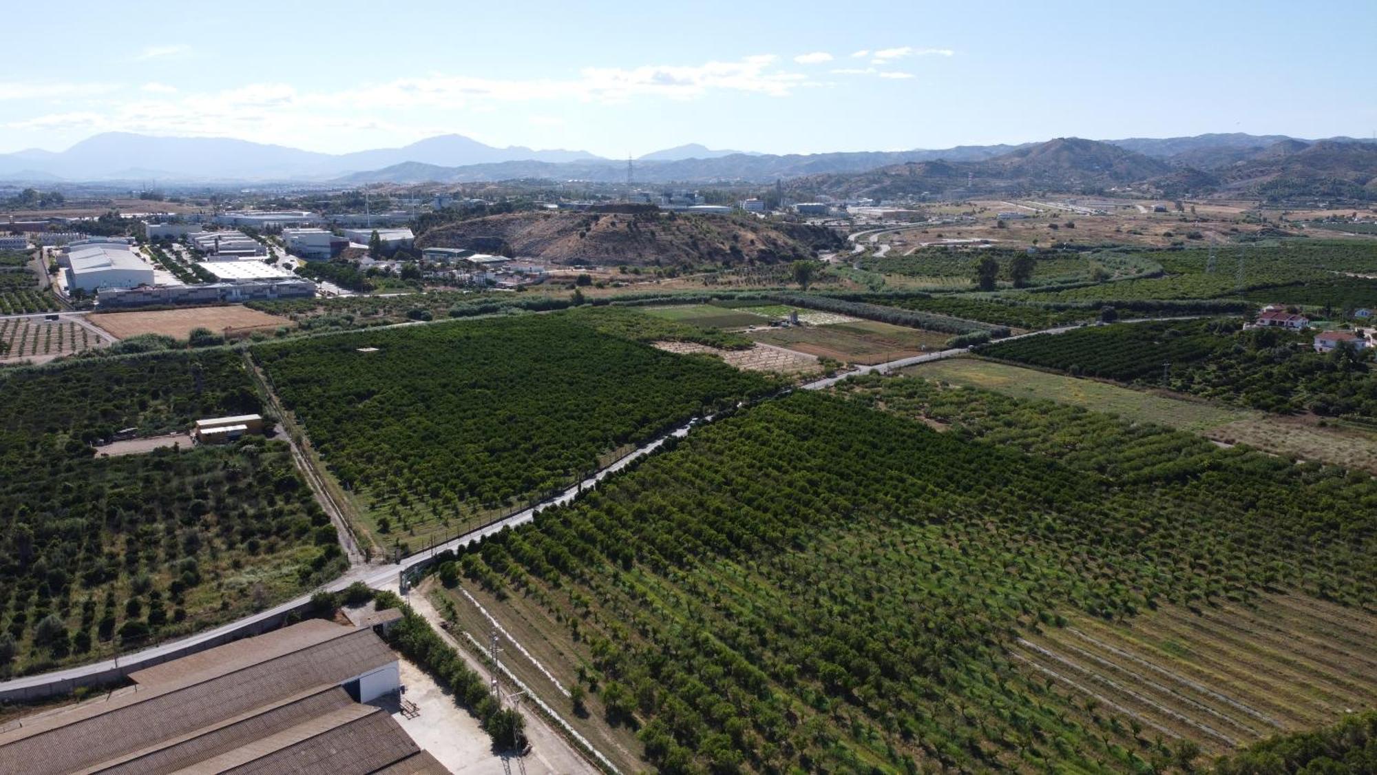 Complejo Rural Lo Arrabal Βίλα Μάλαγα Εξωτερικό φωτογραφία